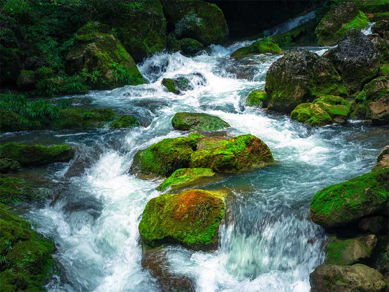 湖南耒水铊浓度异常最新通报