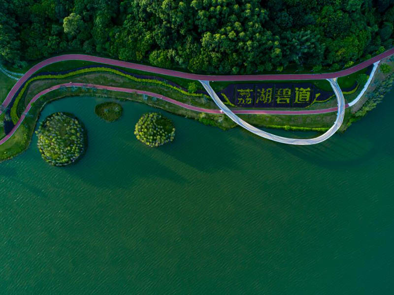 水质重金属检测仪怎么用